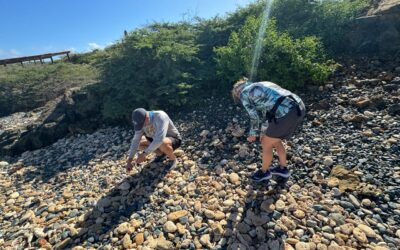 Discover Blackstone Beach: Aruba’s Hidden Gem and Natural Wonders